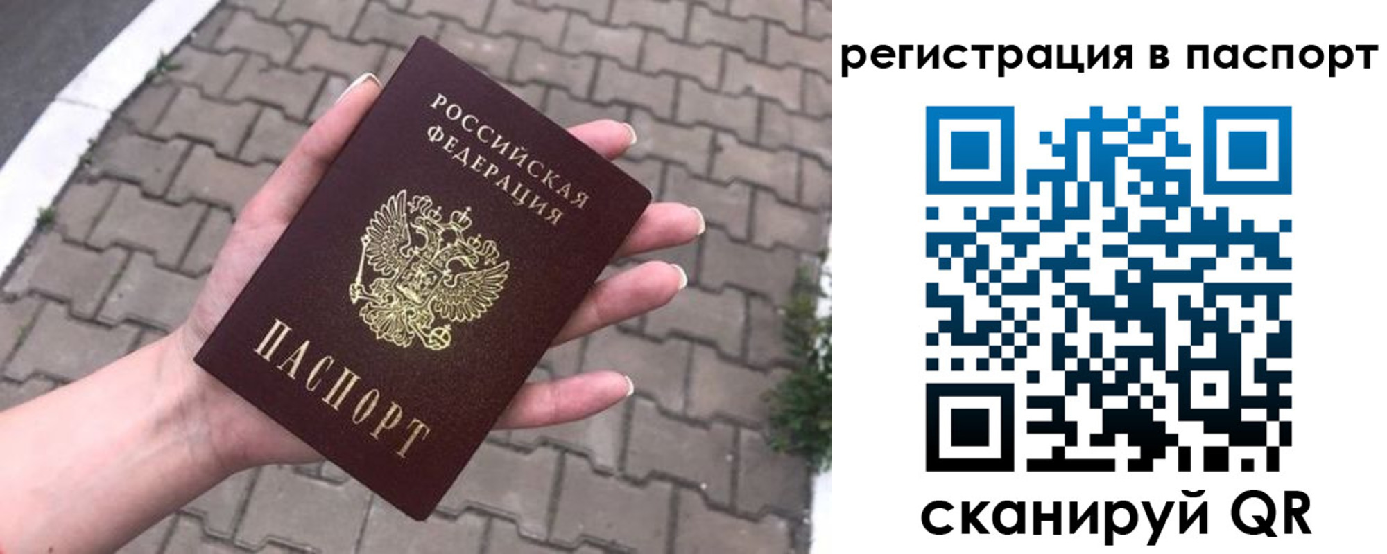 прописка 2025 в Дубовке